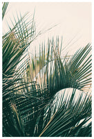 Southern Lines - Fine Art Photograph