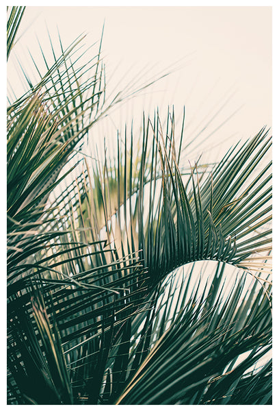 Southern Lines - Fine Art Photograph