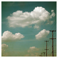 Electric Blue - Fine Art Photograph