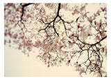 Sugar & Spice - Fine Art Photograph