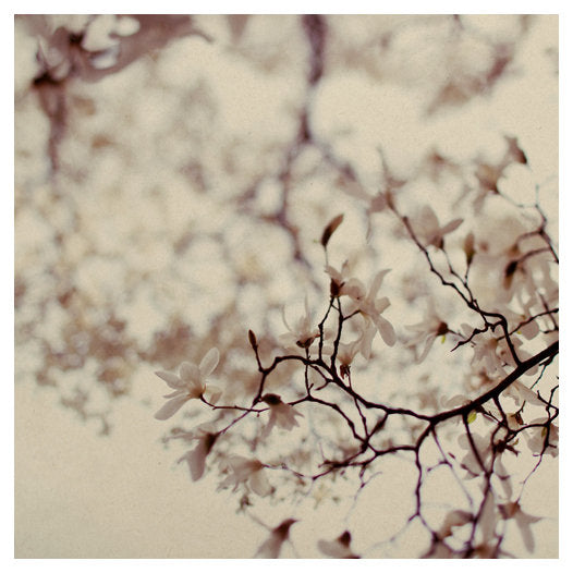 Tumbling - Fine Art Photograph