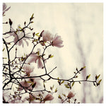 Wind & Wishing - Fine Art Photograph