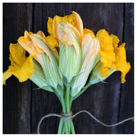 Squash Blossom #1 - Fine Art Photograph