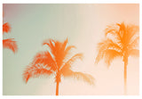 State Of Mind - Fine Art Photograph