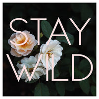 Stay Wild (Rose) - Fine Art Photograph