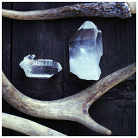 Vintage and Velvet - Fine Art Photograph