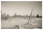 Ghost Forest #5 - Fine Art Photograph