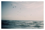 A Dream Within A Dream - Fine Art Photograph