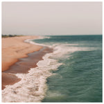 Summer Fresh -  Fine Art Photograph