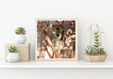 Summer Shadows -  Fine Art Photograph