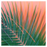 Sun Burn #3 - Abstract Art Print