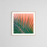 Sun Burn #3 - Abstract Art Print