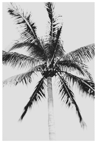 The One and Only - Fine Art Photograph
