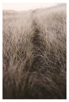 The Path Of The Heart - Fine Art Photograph