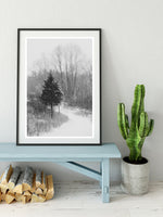 Black And White Fine Art Photograph - The Winter Path