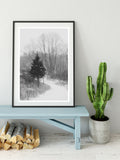Black And White Fine Art Photograph - The Winter Path