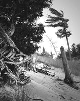 Windswept Dune - Fine Art Photograph