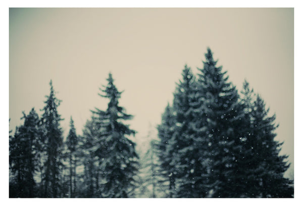 Winter Fancy -  Fine Art Photograph