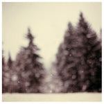 Wonderland - Fine Art Photograph