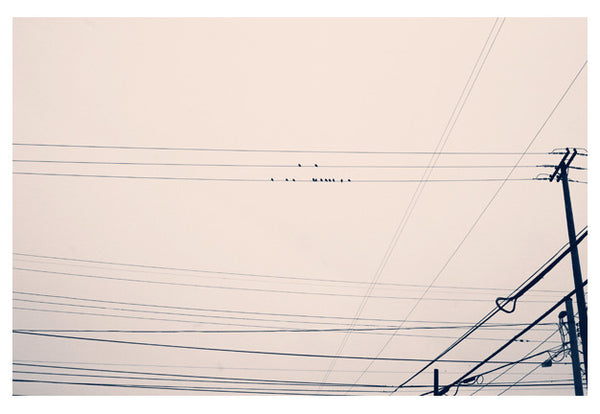Dotted Lines - Fine Art Photograph