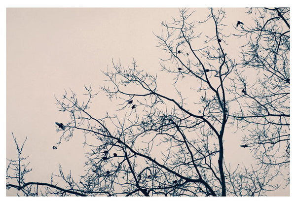 And Three Flew Away - Fine Art Photograph