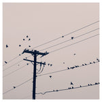 Lines #2 - Fine Art Photograph
