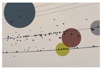 Chaos On the Wire - Fine Art Photograph