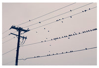 Lines - Fine Art Photograph