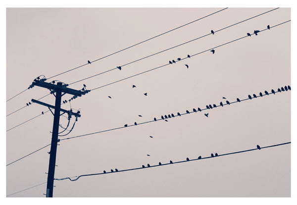 Lines - Fine Art Photograph