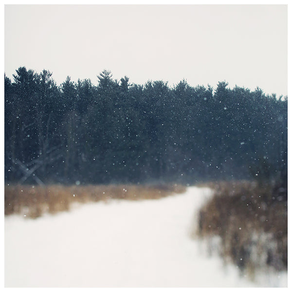 Winter Field - Fine Art Photograph