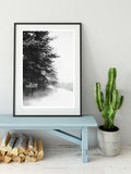 Winter Walk - Fine Art Photograph