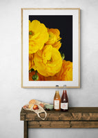 Modern Floral Photograph - Yellow Ranunculus #1