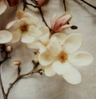Covet - Fine Art Photograph