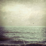 Pure and Simple - Fine Art Photograph