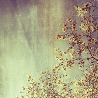 The Blue Above - Fine Art Photograph