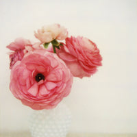 Pink - Fine Art Photograph