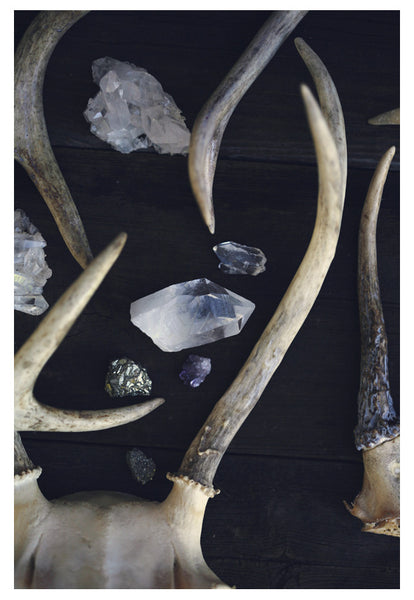 Stag and Stone - Fine Art Photograph