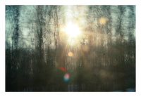 This is January