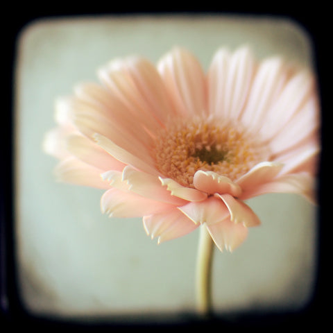Six Fourteen - Fine Art Photograph