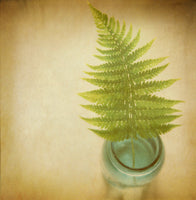 Verde - Fine Art Photograph