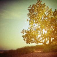 My Heart's Desire - Fine Art Photograph