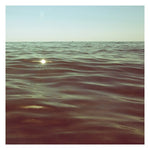 Gold Dust - Fine Art Photograph