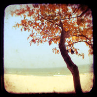 Burnt Orange and Blue- 5"x5" Matted to 11x14- Friday Outlet