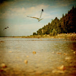 Deux - Fine Art Photograph