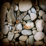 Stones # 1 - Fine Art Photograph