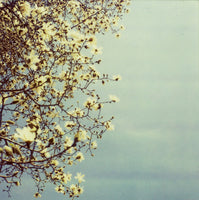 Half The Sky - Fine Art Photograph