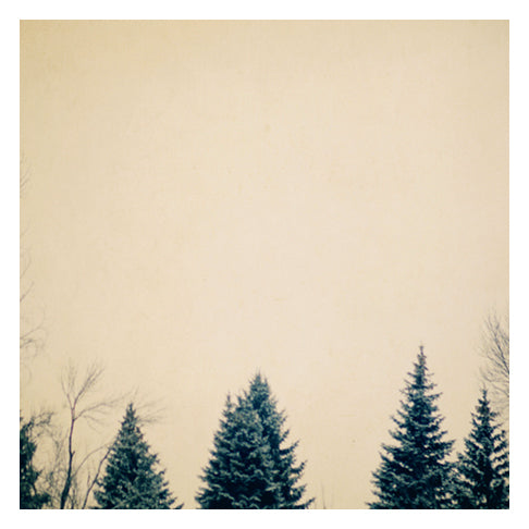 En Masse - Fine Art Photograph