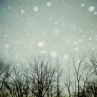 Visions -  Fine Art Photograph