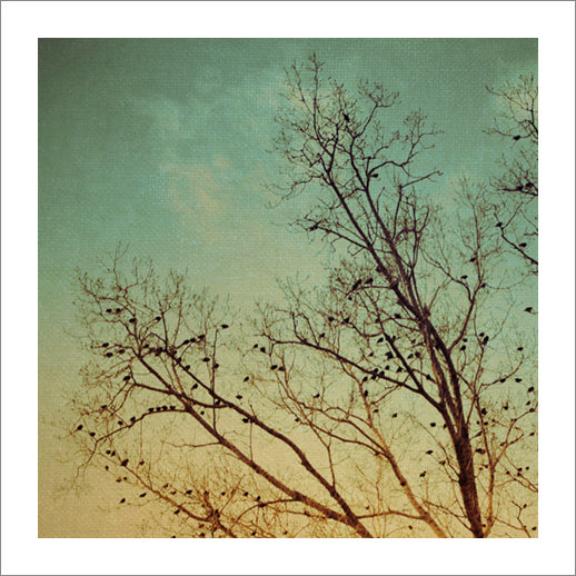 Gathering - Fine Art Photograph
