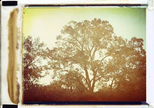 Too early, Too late - Fine Art Photograph